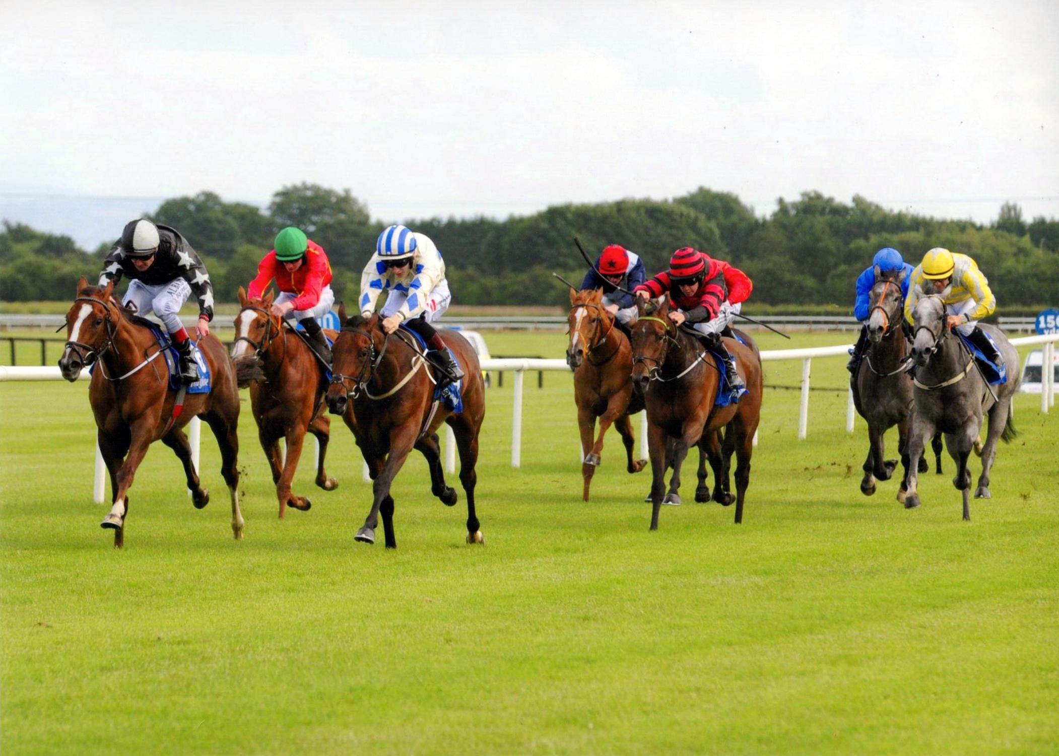 BROOKLYN'S ROSE lands her maiden first time out at Fairyhouse for owner Declan Landy 29th June 2016